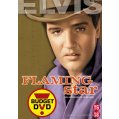 Flaming Star DVD