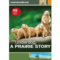 Underdog prairie...