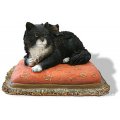 Henriette Ronner-...