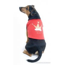 King Of Bling Dog Tshirt