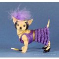 Aye Chihuahua Flapper Charleston Hond Beeld