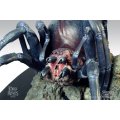Lord Of The Rings Return Of The King Shelob Spider Beeld