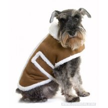  Hond Jas