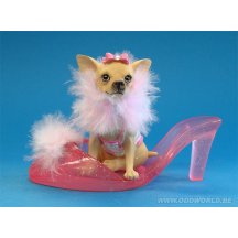 Aye Chihuahua Slipper Hond Beeld