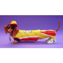 Hot Diggity Long Dawgy Dog Tekkel Hond Beeld