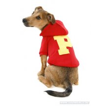 College Hond Sweater Met Kap