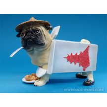 Pugnacious Peking China Mopshond Hond Beeld
