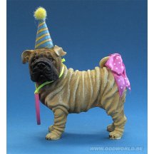 Happy Birthday Shar Pei Hond Beeld