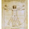 Leonardo Da Vinci The Vitruvian Man Beeld