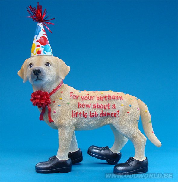 geur loyaliteit Speel Happy Birthday Labrador Hond Beeld - Odd World